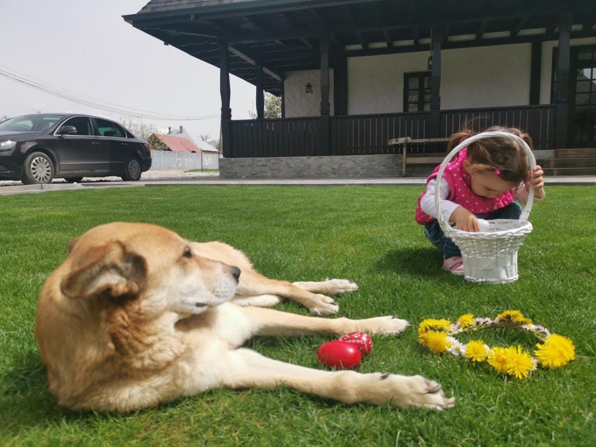 Ograda Bunicilor Villa Baia de Fier Dış mekan fotoğraf